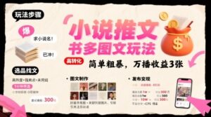 小说推文小红书多图文玩法，简单粗暴，万播收益3张-云享网创