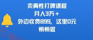 卖两性打牌课程，月入3W+外边收费899的课程，这里0元，悄悄做-云享网创