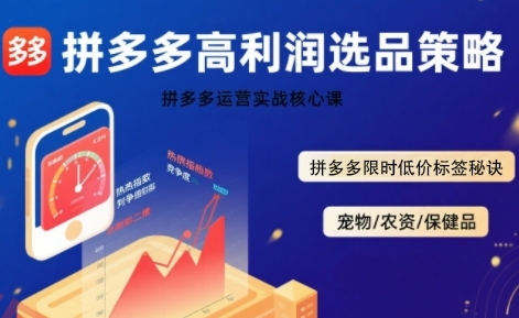 拼多多选品暴利技术实战课，拼多多高利润选品策略，拼多多限时低价标签秘诀-云享网创
