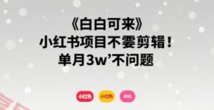 小白可来 小红书项目不需要剪辑 单月3w不是问题-云享网创