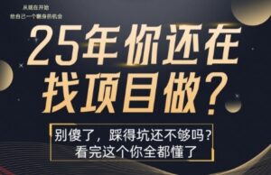 25年，你还在疯狂的找项目吗？别傻了，看完这个你都懂了【揭秘】-云享网创