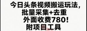 今日头条视频搬运玩法，软件一键去重，轻松日入500+附项目工具-云享网创