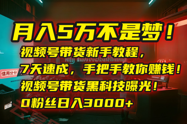月入5万不是梦！视频号带货新手教程，7天速成，手把手教你赚钱！视频号…-云享网创