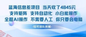 蓝海信息差项目当天收米1k+ 支持矩阵支持自动化小白能操作全程AI操作不需要人工你只要会电脑-云享网创