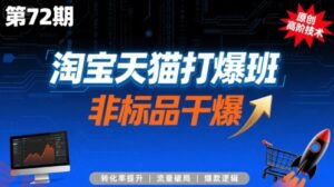 淘宝天猫打爆班原创高阶技术第72期，非标品干爆-云享网创