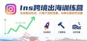 Ins跨境出海训练营，实战驱动玩法，打破不涨粉怪象，玩转社媒自然流量-云享网创