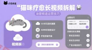 猫咪疗愈长视频拆解 &油管频道运营技巧-云享网创