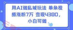 用AI做私域玩法，单条视频涨粉7W变现4.3k，小白可做-云享网创