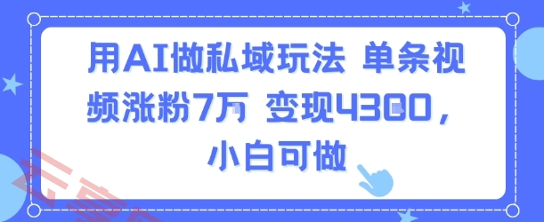 用AI做私域玩法，单条视频涨粉7W变现4.3k，小白可做-云享网创