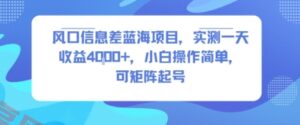 风口信息差蓝海项目，实测一天收益4k+，小白操作简单，可矩阵起号-云享网创