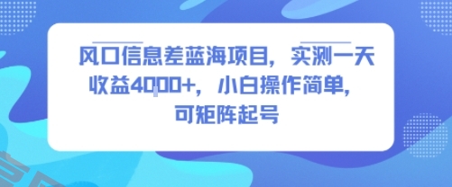 风口信息差蓝海项目，实测一天收益4k+，小白操作简单，可矩阵起号-云享网创
