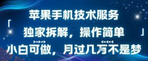 苹果手机技术服务，独家拆解，操作简单，小白可做，月过1W不是梦-云享网创