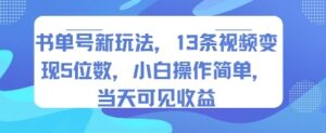 书单号新玩法，13条视频变现5位数，小白操作简单，当天可见收益-云享网创