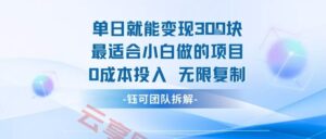 单日就能变现3张最适合小白做的项目0成本投入 无限复制-云享网创