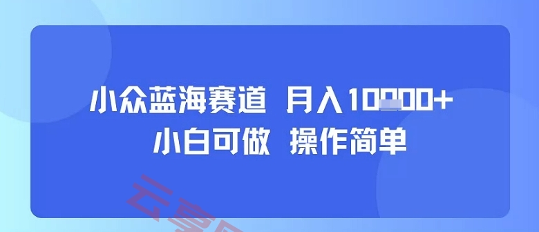 小众蓝海赛道，小白可做，操作简单，每天30分钟，月入1W+-云享网创