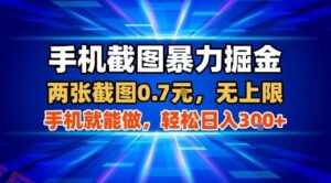 手机截图暴力掘金,两张截图0.7米,一部手机就能做,轻松日入3张+【揭秘】-云享网创