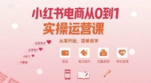 小红书电商从0到1实操运营课，从零开始，简单易学-云享网创