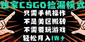 CSGO自动捡漏项目，最新独家玩法，不是美区搬砖，不需要了解和玩游戏，新手小白轻松月入1W+【揭秘】-云享网创
