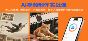 AI视频制作实战：含工具使用、爆款案例，讲拍摄剪辑、数字人批量制作与账号运营变现-云享网创