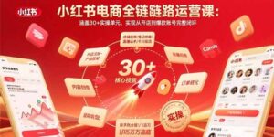 小红书电商全链路运营课：涵盖30+实操单元，实现从开店到爆款账号完整闭环-云享网创