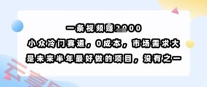 一条视频挣1k，小众冷门赛道，0成本，市场需求大，是未来半年最好做的项目，没有之一-云享网创