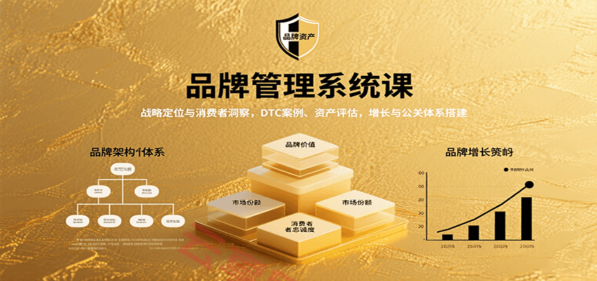 品牌管理系统课：战略定位与消费者洞察，DTC案例、资产评估，增长与公关体系搭建-云享网创