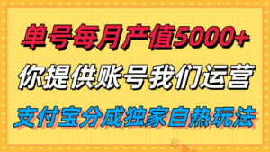单月产值5000+，支付宝分成代运营，你提供账号坐等分钱，我们帮你运营-云享网创