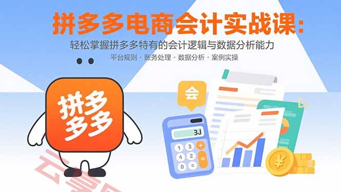 拼多多电商会计实战课：轻松掌握拼多多特有的会计逻辑与数据分析能力-云享网创