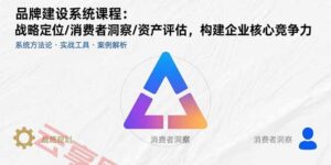 品牌建设系统课程:战略定位/消费者洞察/资产评估,构建企业核心竞争力-云享网创