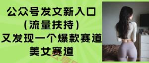 公众号发文新入口(流量扶持-云享网创