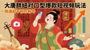大唐胖妞对口型爆款短视频玩法，快速起千粉万粉号-云享网创