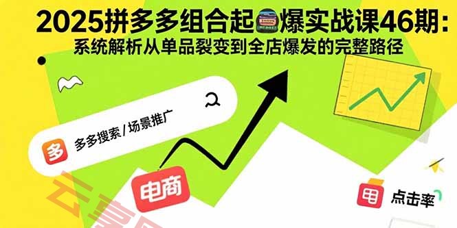 2025拼多多组合起爆实战课46期：系统解析从单品裂变到全店爆发的完整路径-云享网创