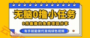 0学费0风险，2025风口项目，无脑免费撸，代发纯绿色视频，一部手机人人可做【揭秘】-云享网创
