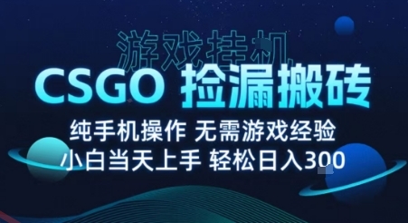 8月最新游戏搬砖，CSGO纯挂G，不需要玩游戏，实现真挂G，月入1W+【揭秘】-云享网创