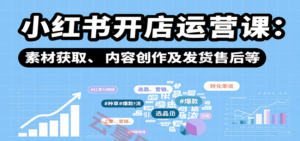 小红书开店运营课：选品、上架、营销、素材获取、内容创作及发货售后等-云享网创