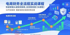 电商财务全流程实战课程：快速掌握从建账到报税的全流程技能(36节课-云享网创