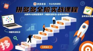 拼多多全阶实战课程，从新手小白到运营高手，海量实战玩法+全年实时更新【2025年9月更新】-云享网创