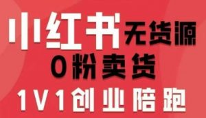 小红书无货源0粉电商课，开店准备、选品策略、笔记撰写、视频剪辑、数据分析、账号打造、资料文档-云享网创