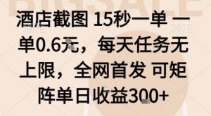 酒店截图15秒一单，一单0.6米，每天任务无上限，全网首发可矩阵单日收益3张【揭秘】-云享网创