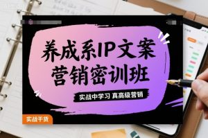 养成系IP文案营销密训班，实战中学习真高级营销-云享网创