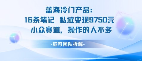 蓝海项目：16条笔记私域变现9750米小众赛道操作的人不多-云享网创