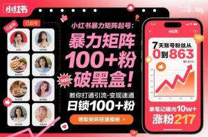 小红书暴力矩阵起号，教你打通引流-变现速通，日锁100+粉，破流量黑盒-云享网创