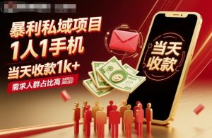 暴利私域项目1人1手机，当天收款1k+，需求人群占比高，当天就能见到钱-云享网创