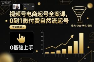 视频号电商起号全案课，0到1微付费自然流起号-云享网创