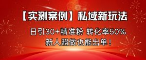 【实测案例】私域新玩法，日引30+精准粉，转化率50%，新人照做也能出单！-云享网创