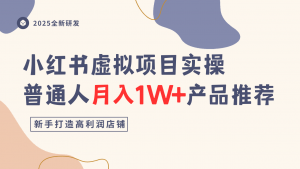 小红书虚拟项目实操指南，普通人月入1W+产品推荐，直接抄-云享网创