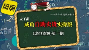 麦子甜咸鱼自助卖货实操版(虚拟资源)一个会自动搞钱的机器-云享网创