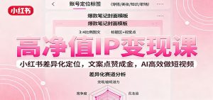 高净值IP变现课：小红书差异化定位，文案点赞成金， AI高效做短视频-云享网创