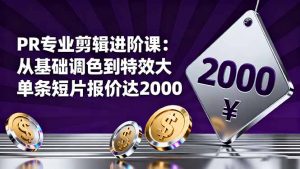 PR专业剪辑进阶课：从基础调色到特效大片的进阶技能，单条短片报价达2000-云享网创