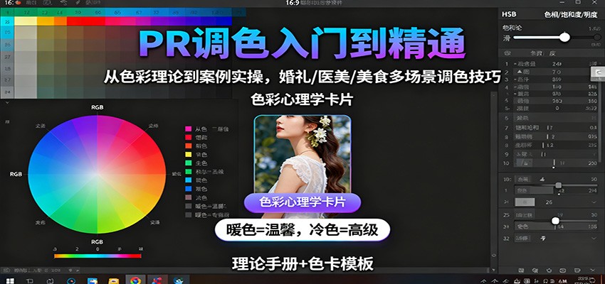 PR调色入门到精通:从色彩理论到案例实操,婚礼/医美/美食多场景调色技巧-云享网创